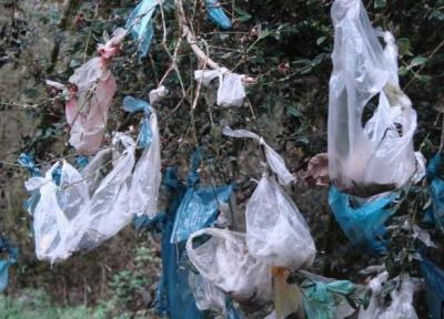 اینفوگرافیک ، هیولای کیسه پلاستیکی ! ، آمارهای تامل برانگیز مصرف پلاستیک در ایران