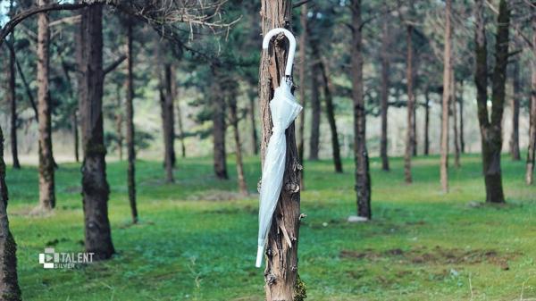 بررسی چتر مدل bsh؛ چتری شفاف با دسته عصایی آنالیز چتر مدل bsh؛ چتری شفاف با دسته عصایی