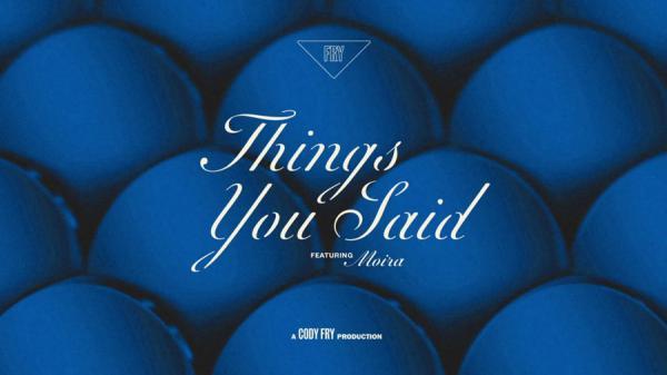 متن و ترجمه آهنگ Things You Said از Cody Fry متن و ترجمه آهنگ Things You Said از Cody Fry