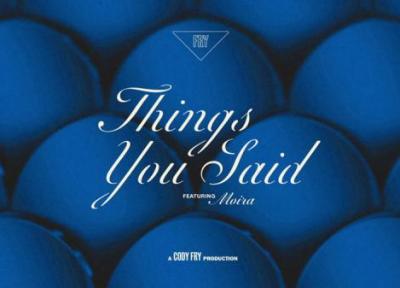 متن و ترجمه آهنگ Things You Said از Cody Fry