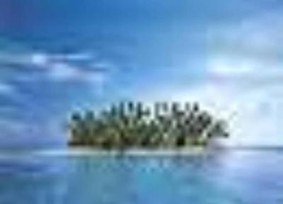 بهترین شغل دنیا